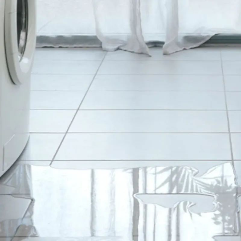 Appliance Leak Cleanup in Brookland, AR