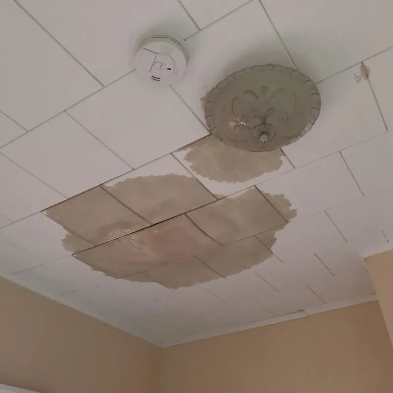 Ceiling Water Damage Repair in Brookland, AR