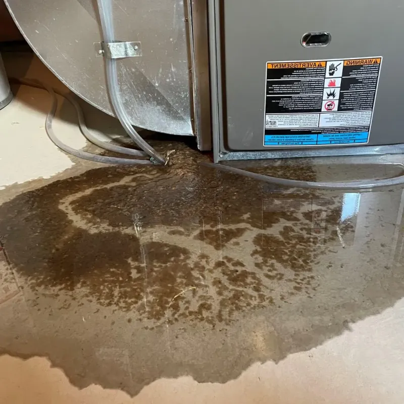 Pipe Burst and Leak Restoration in Brookland, AR